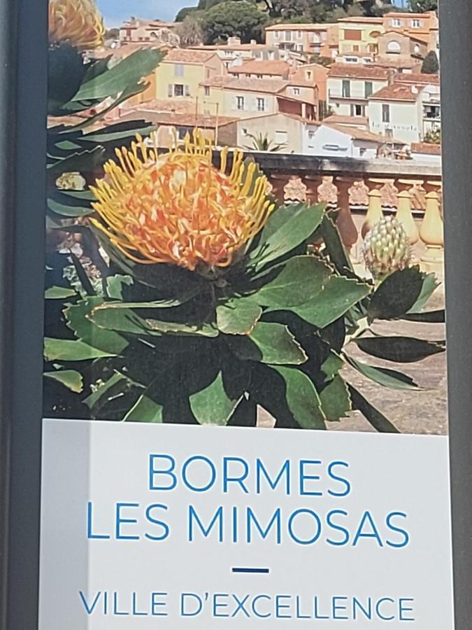 T2-Clim-Fibre-Garage 2,30 X 4,95 X 1,90 A La Faviere Apartman Bormes-les-Mimosas Kültér fotó