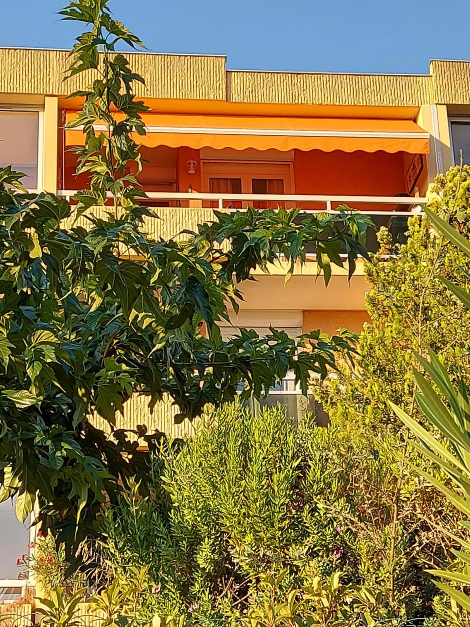 T2-Clim-Fibre-Garage 2,30 X 4,95 X 1,90 A La Faviere Apartman Bormes-les-Mimosas Kültér fotó